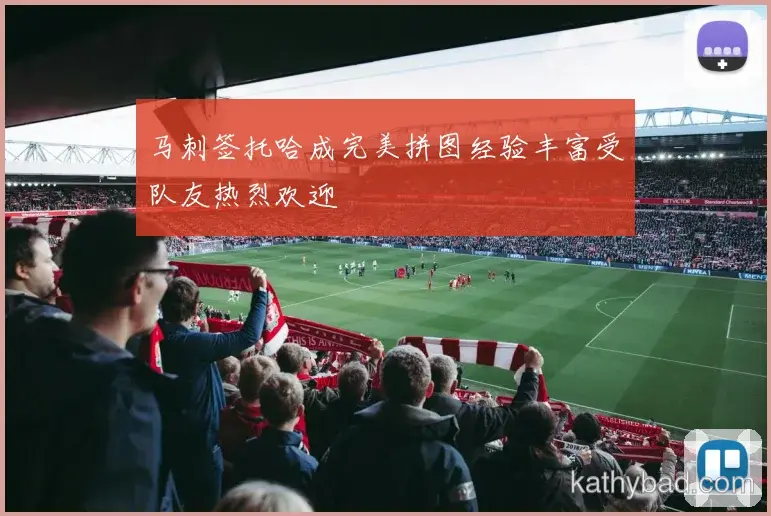 多特蒙德官方宣布新赛季引援计划 瞄准多个核心位置补强